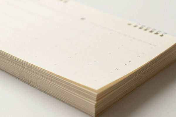 Edyta Górniak: wiek, data urodzenia i kariera